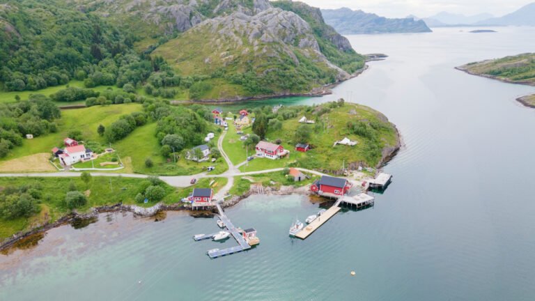 Chicken road 2 casino, chicken road 2 danmark